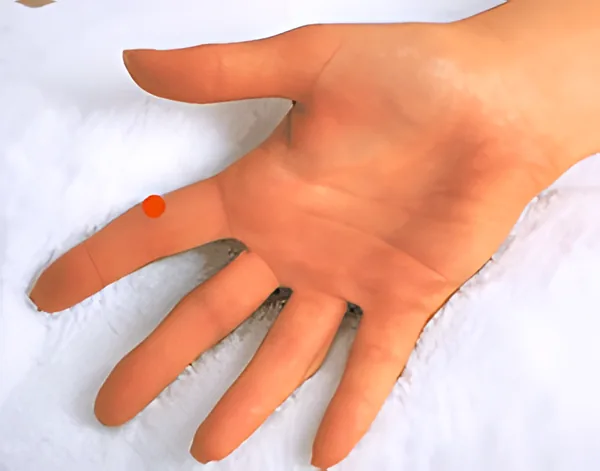 Sơ đồ huyệt Nhị Gian