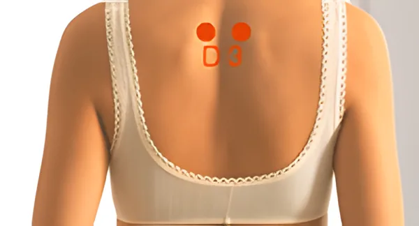 Sơ đồ huyệt Phế Du