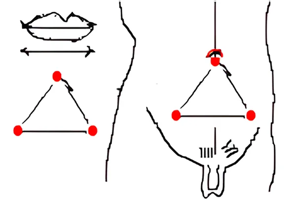 Sơ đồ huyệt Sán Khí Huyệt