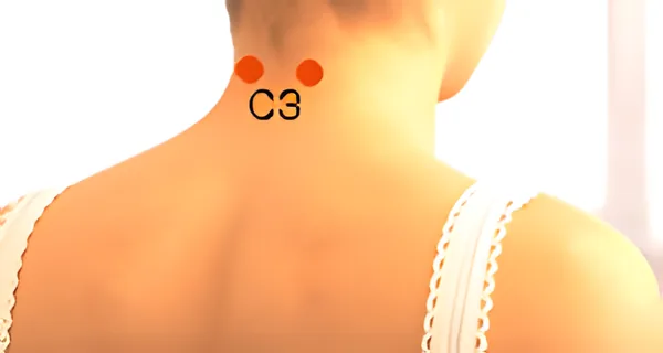 Sơ đồ huyệt Tân Thức