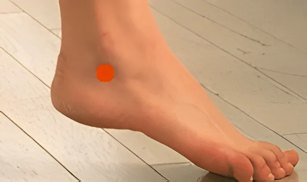 Sơ đồ huyệt Thân Mạch