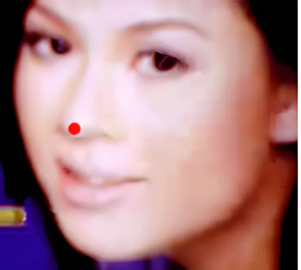 Sơ đồ huyệt Tố Liêu