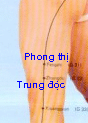 Sơ đồ huyệt Trung Độc