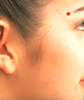 Sơ đồ huyệt Ty Trúc Không