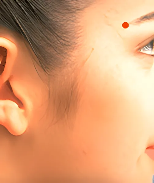 Sơ đồ huyệt Ty Trúc Không