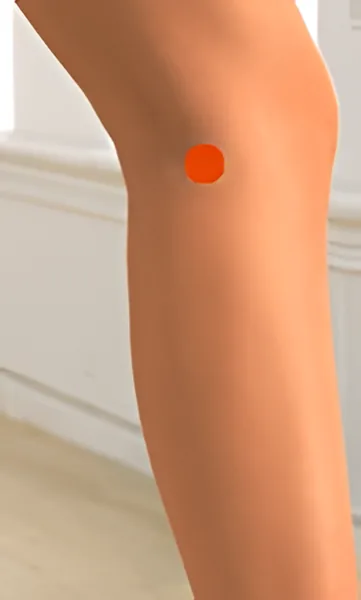 Sơ đồ huyệt Ủy Dương
