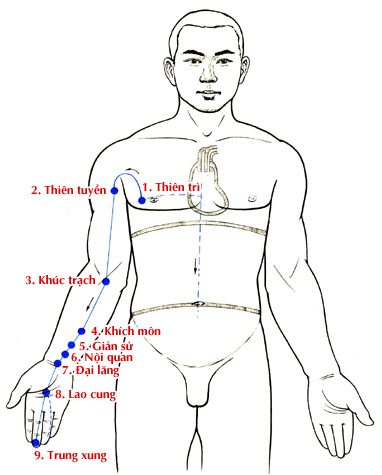 Sơ đồ Kinh Thủ Thiếu Âm Tâm Bào