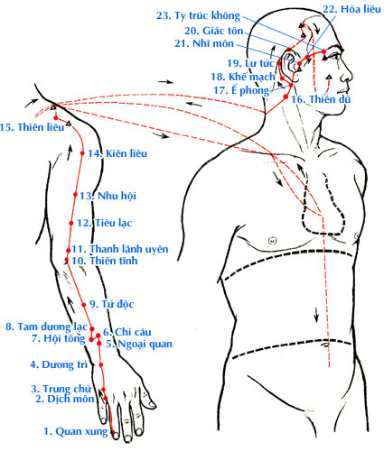 Sơ đồ Kinh Thủ Thiếu Dương Tam Tiêu