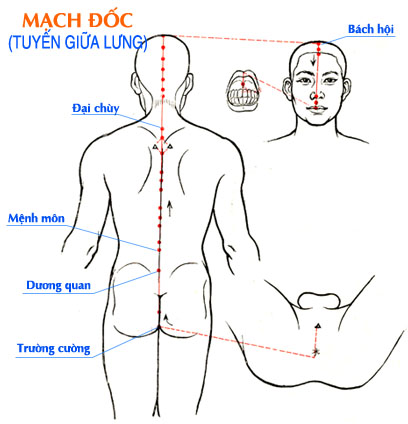 Sơ đồ Mạch Đốc