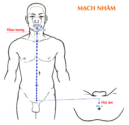 Sơ đồ Mạch Nhâm