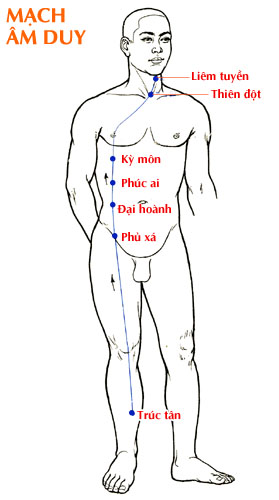 Sơ đồ Mạch Âm Duy