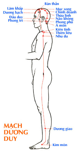 Sơ đồ Mạch Dương Duy