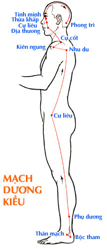 Sơ đồ Mạch Dương Kiều