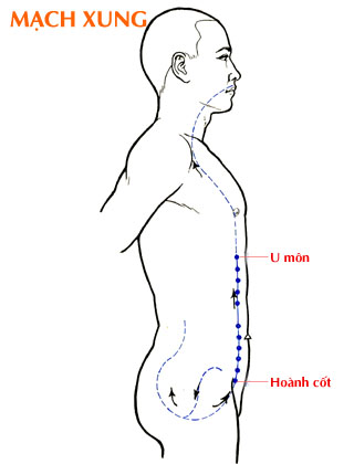 Sơ đồ Mạch Xung