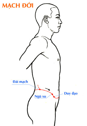 Sơ đồ Mạch Đới (Đái)